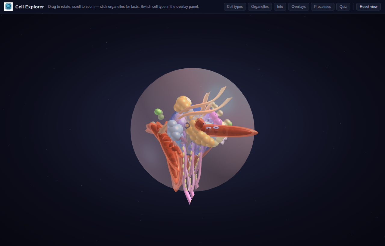 Watch the processes, test the recall — screenshot